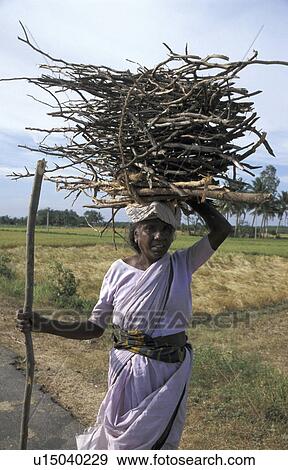 sticks, people, carrying, india, person, woman View Large Photo Image Stock Photo - sticks, people, carrying, india, person, woman. Fotosearch