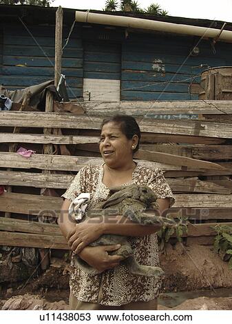 tegucigalpa, people, rabbit, honduras, person, woman View Large Photo Image Stock Image - tegucigalpa, people, rabbit, honduras, person, woman. Fotosearch