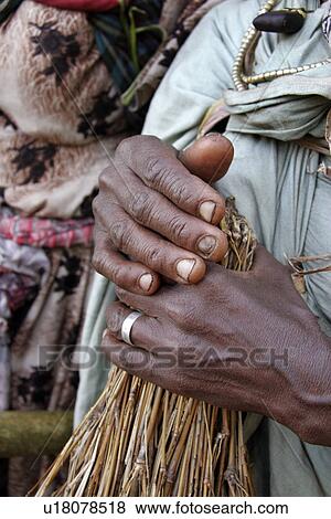 texture, people, person, nature, pattern, woman View Large Photo Image Stock Photo - texture, people, person, nature, pattern, woman. Fotosearch