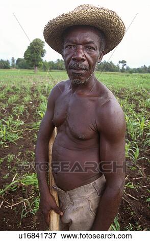 torbeck, person, farmer, haiti, 3279, people View Large Photo Image Stock Photo - torbeck, person, farmer, haiti, 3279, people. Fotosearch