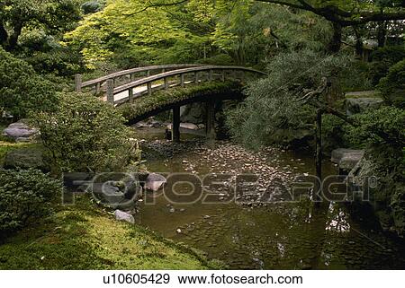 Stock Photo - traditional, garden, asian, japan, kyoto, japanese. Fotosearch