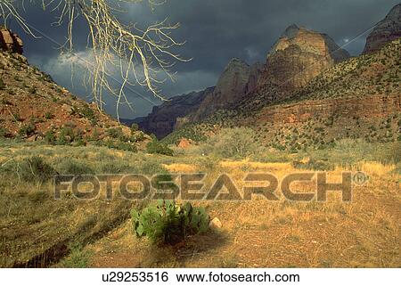 Stock Photograph - travel, landscape, utah, park, zion, beauty. Fotosearch