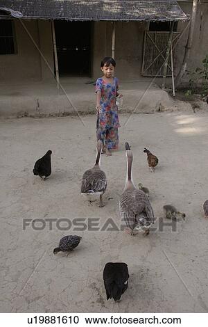 tribal, girl, garo, bangladesh, person, people View Large Photo Image Stock Image - tribal, girl, garo, bangladesh, person, people. Fotosearch