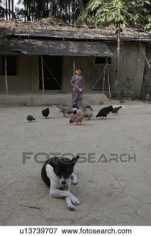 Stock Photo - tribal, girl, garo, bangladesh, person, people. Fotosearch