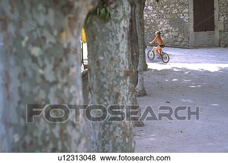 trunks, child, gray, kid, children, tree View Large Photo Image Stock Photo - trunks, child, gray, kid, children, tree. Fotosearch