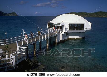 Stock Photograph - underwater, enter, descend, world, coral, tourists. Fotosearch