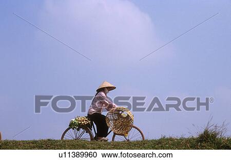 vietnam, people, 5477, person, fitness, woman View Large Photo Image Stock Image - vietnam, people, 5477, person, fitness, woman. Fotosearch