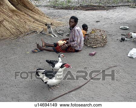 Stock Photo - village, people, zambia, fowl, person, woman. Fotosearch