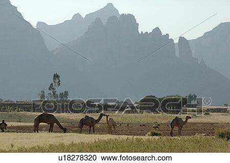 village, person, mountains, landscape, ethiopia, people View Large Photo Image Stock Image - village, person, mountains, landscape, ethiopia, people. Fotosearch