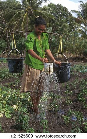 watering, people, indonesia, 4222, person, woman View Large Photo Image Stock Photo - watering, people, indonesia, 4222, person, woman. Fotosearch
