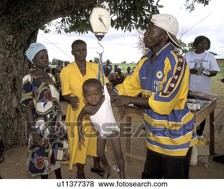 weighing, people, ghana, person, child, baby View Large Photo Image Stock Photo - weighing, people, ghana, person, child, baby. Fotosearch