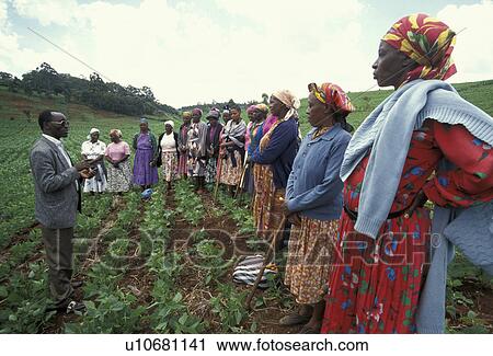 womens, person, addressing, agronomist, kenya, people View Large Photo Image Stock Image - womens, person, addressing, agronomist, kenya, people. Fotosearch