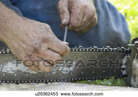 Stock Image - age, trimmer, saw, chain, sharpening, tree. Fotosearch