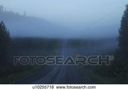 airy, mist, sunrise, trees, sign, road View Large Photo Image Stock Photo - airy, mist, sunrise, trees, sign, road. Fotosearch