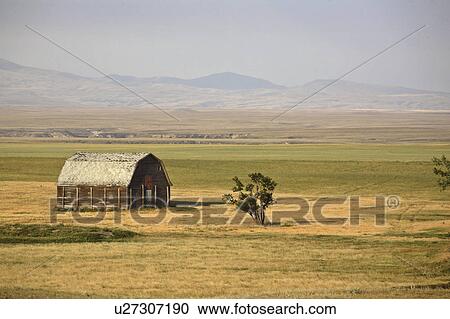 Stock Image - alberta, barn, southeast, border, montana, abandoned. Fotosearch