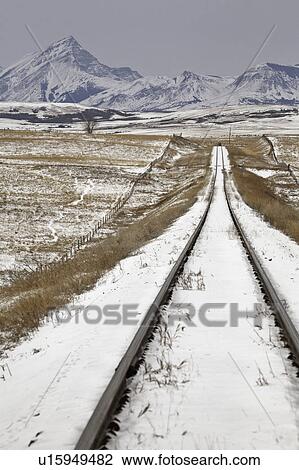 alberta, covered, rocky, winter, mountains, snow View Large Photo Image Stock Image - alberta, covered, rocky, winter, mountains, snow. Fotosearch