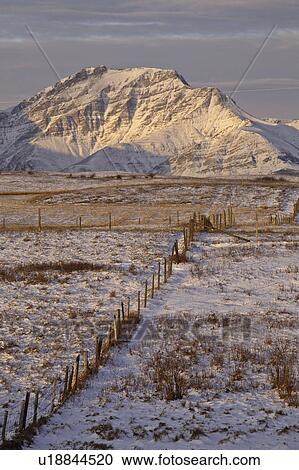 alberta, covered, rocky, winter, mountains, snow View Large Photo Image Stock Image - alberta, covered, rocky, winter, mountains, snow. Fotosearch