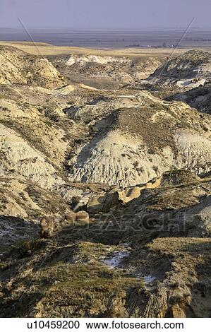 alberta, formations, southeast, coulee, miners, rock View Large Photo Image Stock Image - alberta, formations, southeast, coulee, miners, rock. Fotosearch