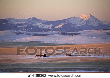 alberta, mountains, covered, snow, winter, rocky View Large Photo Image Stock Image - alberta, mountains, covered, snow, winter, rocky. Fotosearch