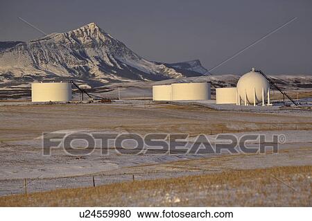 alberta, mountains, covered, snow, winter, rocky View Large Photo Image Stock Image - alberta, mountains, covered, snow, winter, rocky. Fotosearch