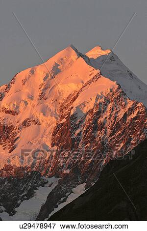 alps, mt, southern, range, cook, mount View Large Photo Image Stock Photo - alps, mt, southern, range, cook, mount. Fotosearch