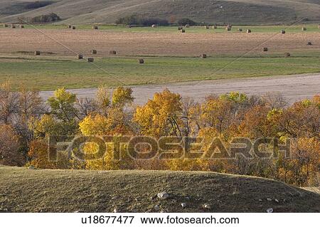 Stock Photo - appelle, leaves, qu, bales, hay, autumn. Fotosearch
