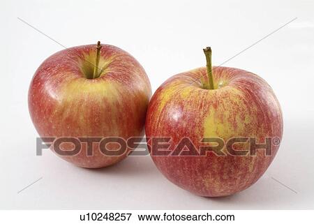 apple, fruit, background, white, red View Large Photo Image Stock Photo - apple, fruit, background, white, red. Fotosearch