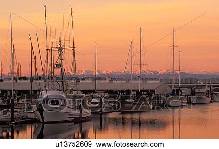 background, coastline, wa, snohomish, sunrise, boat View Large Photo Image Stock Photo - background, coastline, wa, snohomish, sunrise, boat. Fotosearch