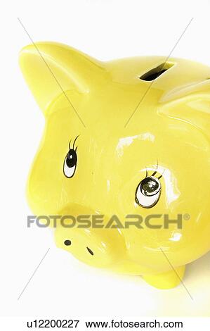 bank, financial, business, accounting, piggy View Large Photo Image Stock Photo - bank, financial, business, accounting, piggy. Fotosearch