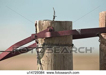 barbedwire, fastener, canada, saskatchewan, scenic, gate View Large Photo Image Picture - barbedwire, fastener, canada, saskatchewan, scenic, gate. Fotosearch