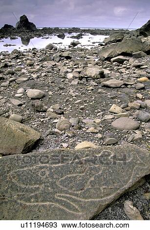 beach, national, county, rocks, coastline View Large Photo Image Stock Image - beach, national, county, rocks, coastline. Fotosearch