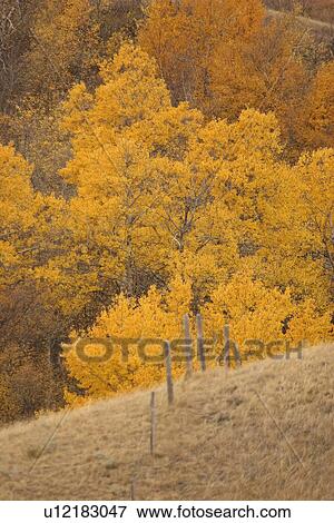 Stock Photo - big, scenic, valley, muddy, autumn. Fotosearch
