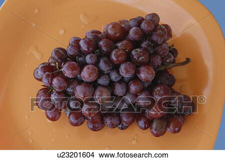 blue, grapes, plate, orange, red, bunch View Large Photo Image Picture - blue, grapes, plate, orange, red, bunch. Fotosearch