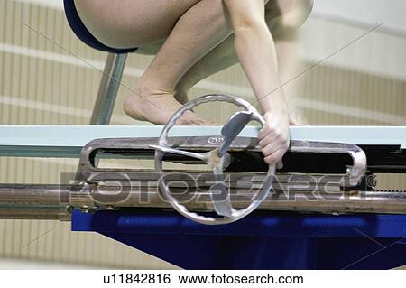 board, females, diving, tightening, competitor, women View Large Photo Image Stock Photograph - board, females, diving, tightening, competitor, women. Fotosearch