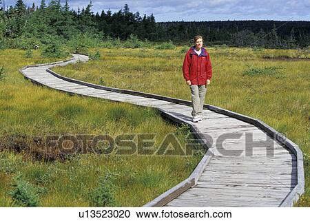 boardwalk, released, canada, park, meadow, model View Large Photo Image Stock Image - boardwalk, released, canada, park, meadow, model. Fotosearch