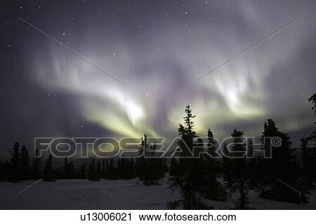 Stock Image - borealis, ak, springs, chena, aurora. Fotosearch