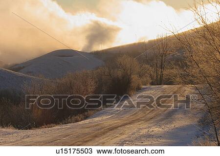 buffalo, fog, hills, hiding, smoke, morning View Large Photo Image Stock Image - buffalo, fog, hills, hiding, smoke, morning. Fotosearch