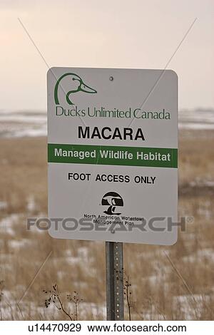 Stock Photo - canada, conservation, saskatchewan, scenic, sign, wildlife. Fotosearch