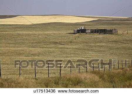 canada, corral, alberta, southwestern, rangeland, stockloading View Large Photo Image Stock Photograph - canada, corral, alberta, southwestern, rangeland, stockloading. Fotosearch