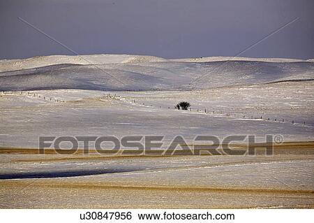 Stock Photograph - canada, covered, saskatchewan, scenic, hills, snow. Fotosearch