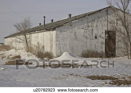 canada, curling, saskatchewan, scenic, rink, old View Large Photo Image Stock Image - canada, curling, saskatchewan, scenic, rink, old. Fotosearch