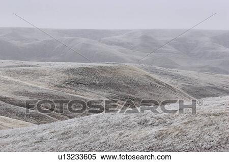 Stock Photography - canada, frostcovered, saskatchewan, scenic, hills, hoar. Fotosearch