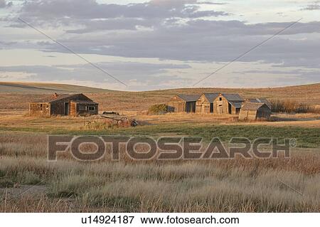 canada, homestead, saskatchewan, scenic, rockglen, old View Large Photo Image Stock Photo - canada, homestead, saskatchewan, scenic, rockglen, old. Fotosearch