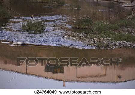 Stock Photo - canada, jaw, saskatchewan, scenic, river, moose. Fotosearch