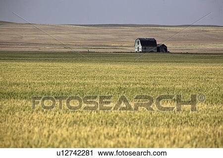 canada, ranch, alberta, southwestern, buildings, old View Large Photo Image Stock Image - canada, ranch, alberta, southwestern, buildings, old. Fotosearch