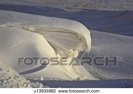 canada, snow, saskatchewan, scenic, drift, huge View Large Photo Image Stock Image - canada, snow, saskatchewan, scenic, drift, huge. Fotosearch