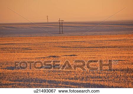 canada, view, saskatchewan, scenic, sunset, winter View Large Photo Image Stock Photo - canada, view, saskatchewan, scenic, sunset, winter. Fotosearch