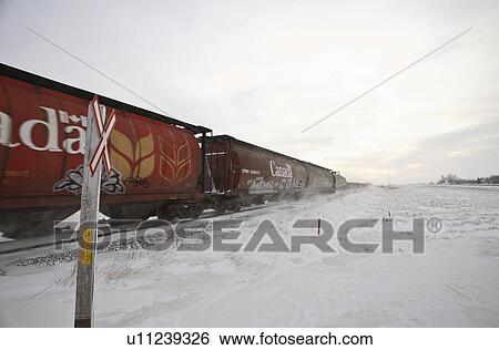 cars, crossing, road, passing, rail View Large Photo Image Stock Photograph - cars, crossing, road, passing, rail. Fotosearch
