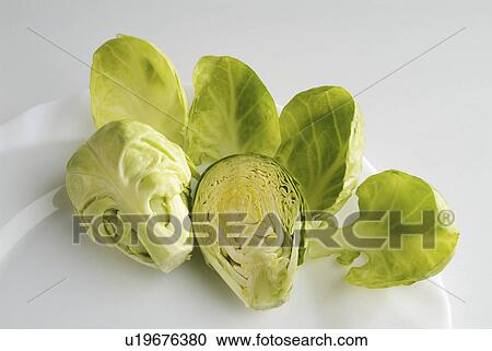 Stock Image - closeup, cabbage, brussel, background, isolate, brussels. Fotosearch