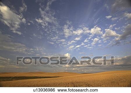 clouds, saskatchewan, scenic, prairies, beautiful View Large Photo Image Stock Photograph - clouds, saskatchewan, scenic, prairies, beautiful. Fotosearch